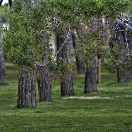 酒店 Mare Blu -- Boutique 皮内托