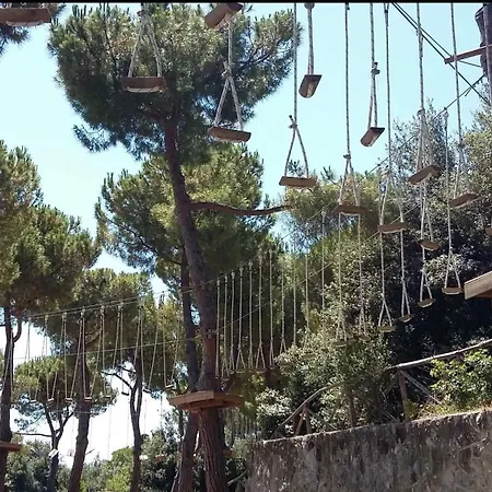 Mare Blu -- Boutique Pineto