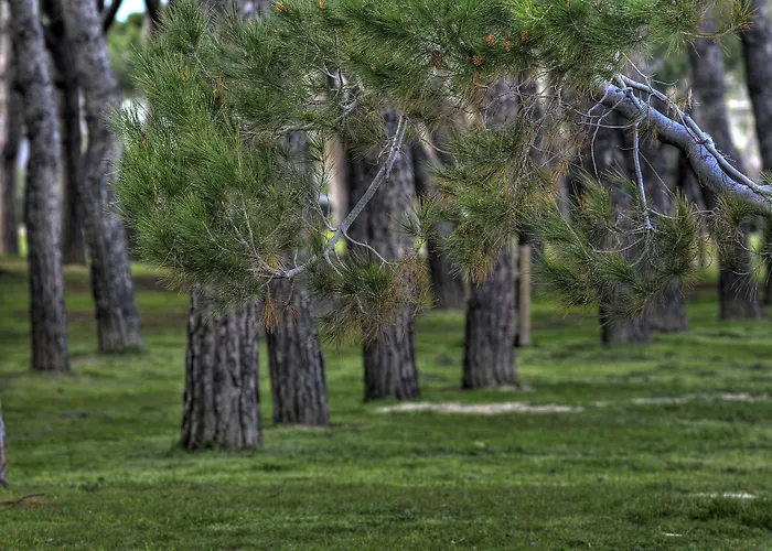 Отель Mare Blu -- Boutique Пинето